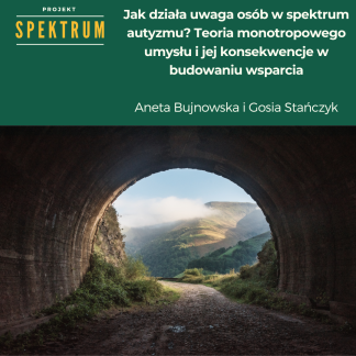 Projekt Spektrum: Jak działa uwaga osób w spektrum autyzmu? Teoria monotropowego umysłu i jej konsekwencje w budowaniu wsparcia (ps25)